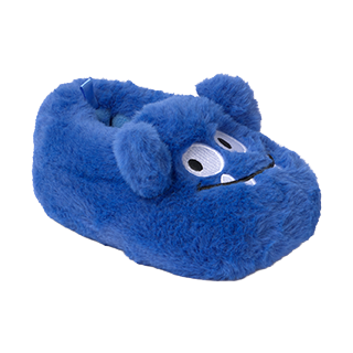Toddler Boy Slippers