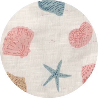 seashells