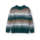 Kid Boy Sweatshirts & Hoodies