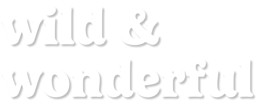 wild & wonderful