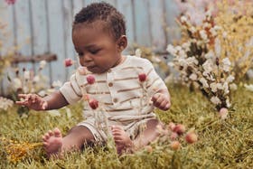 Meet Organic & Sustainable Design