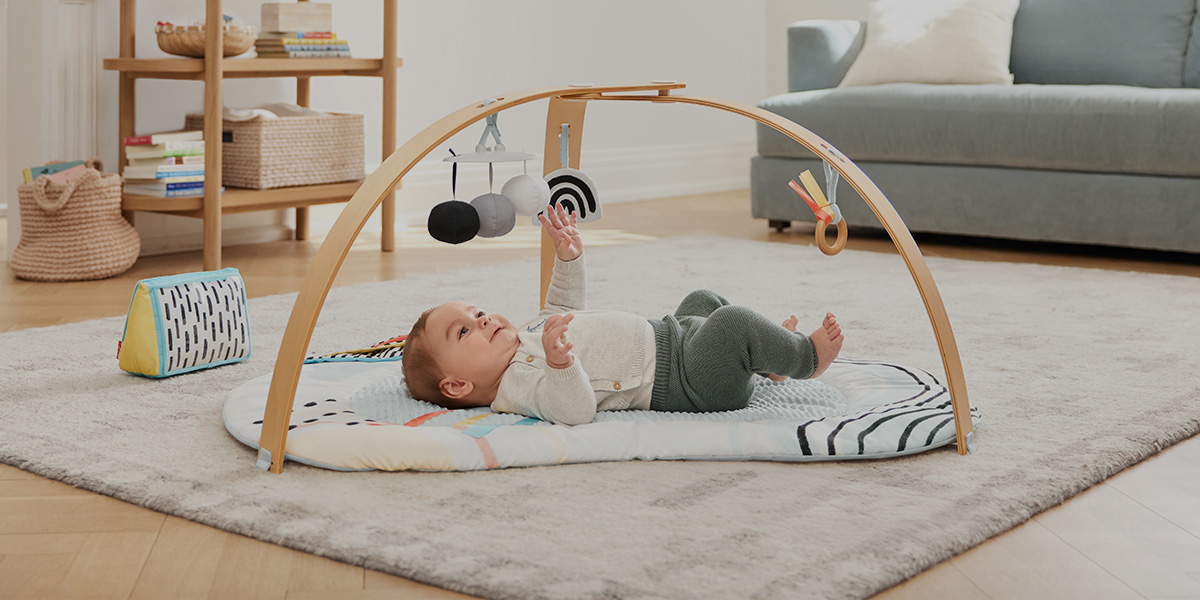 Discoverosity Play Gym