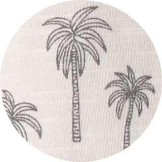 palm trees