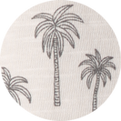 palm trees