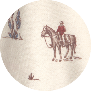 western rodeo cowboy