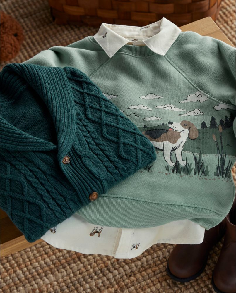 Dog Sweater and Cardigan