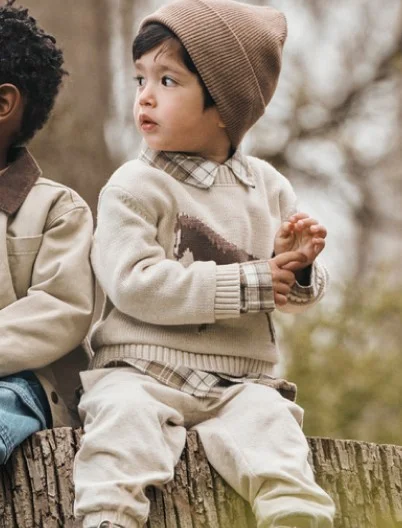 toddler boy in horse sweater