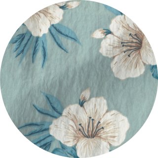blue hibiscus