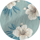 blue hibiscus