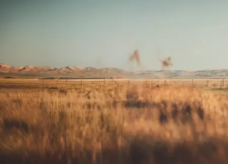background image of field