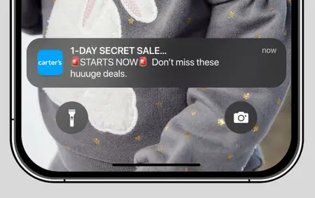 phone display of notifications from the carter's app