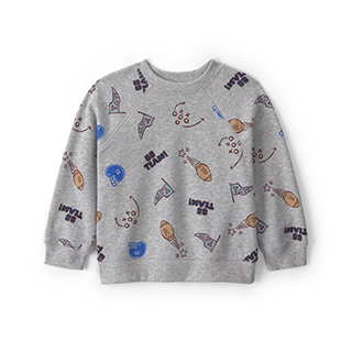 Toddler Boy Sweatshirts & Hoodies