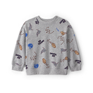 Toddler Boy Sweatshirts & Hoodies