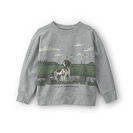 Sweatshirts & Hoodies
