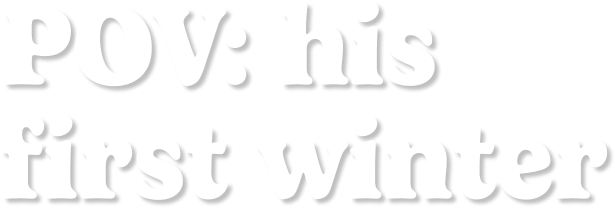 cute doesn't even begin to describe it