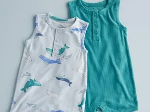 PurelySoft