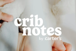 crib notes blog