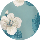 Blue Hibiscus