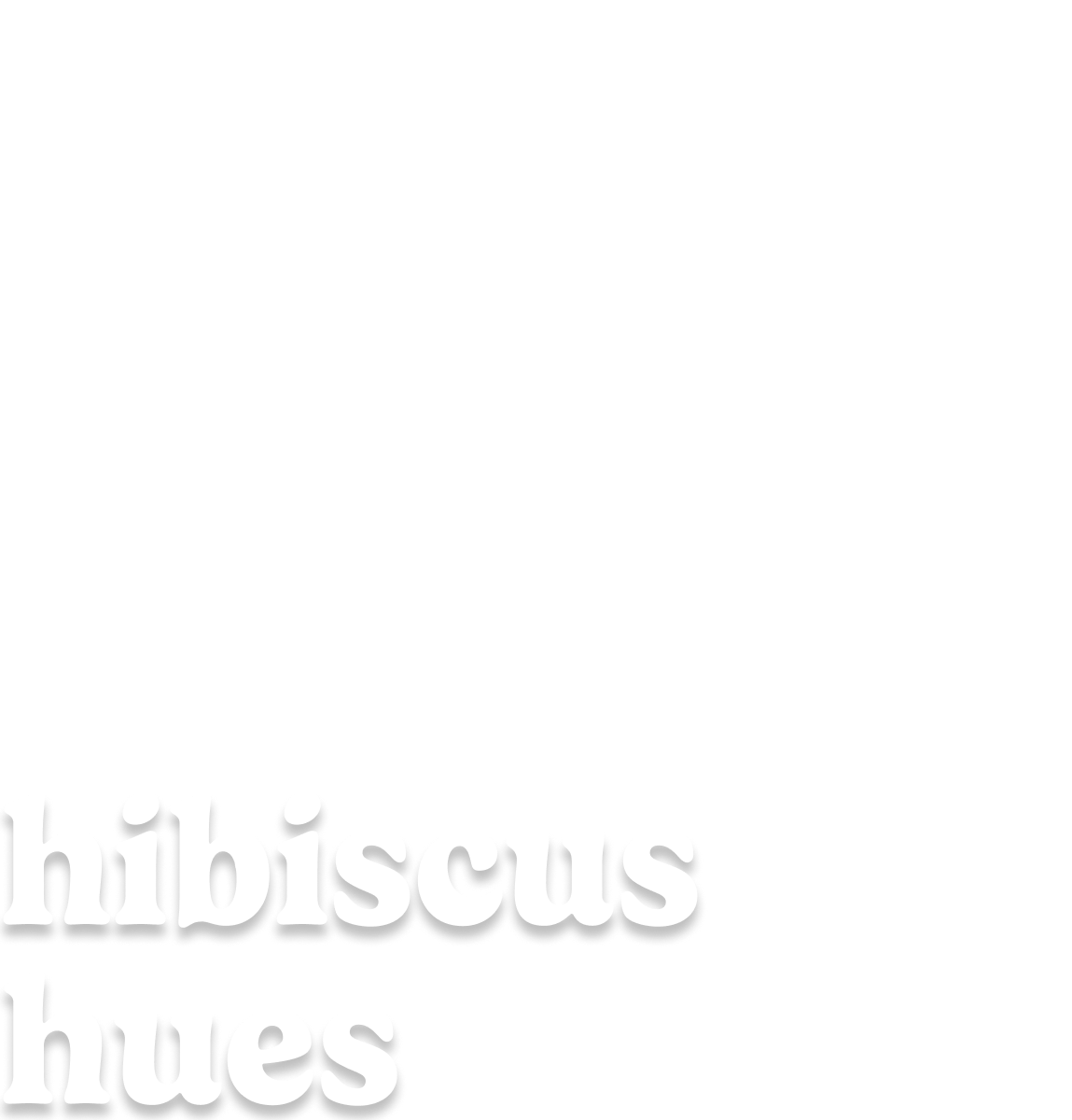 hibiscus hues