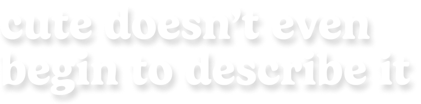 cute doesn't even begin to describe it