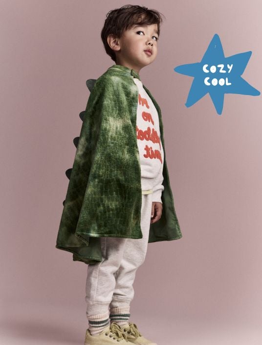Toddler boy in dino cape and sweats