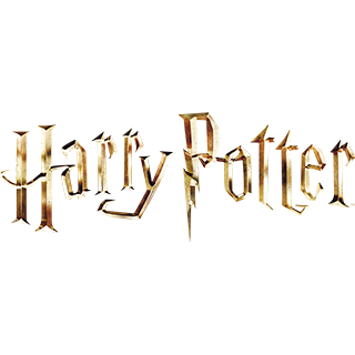 Harry Potter® Licensed Character Kids Clothes