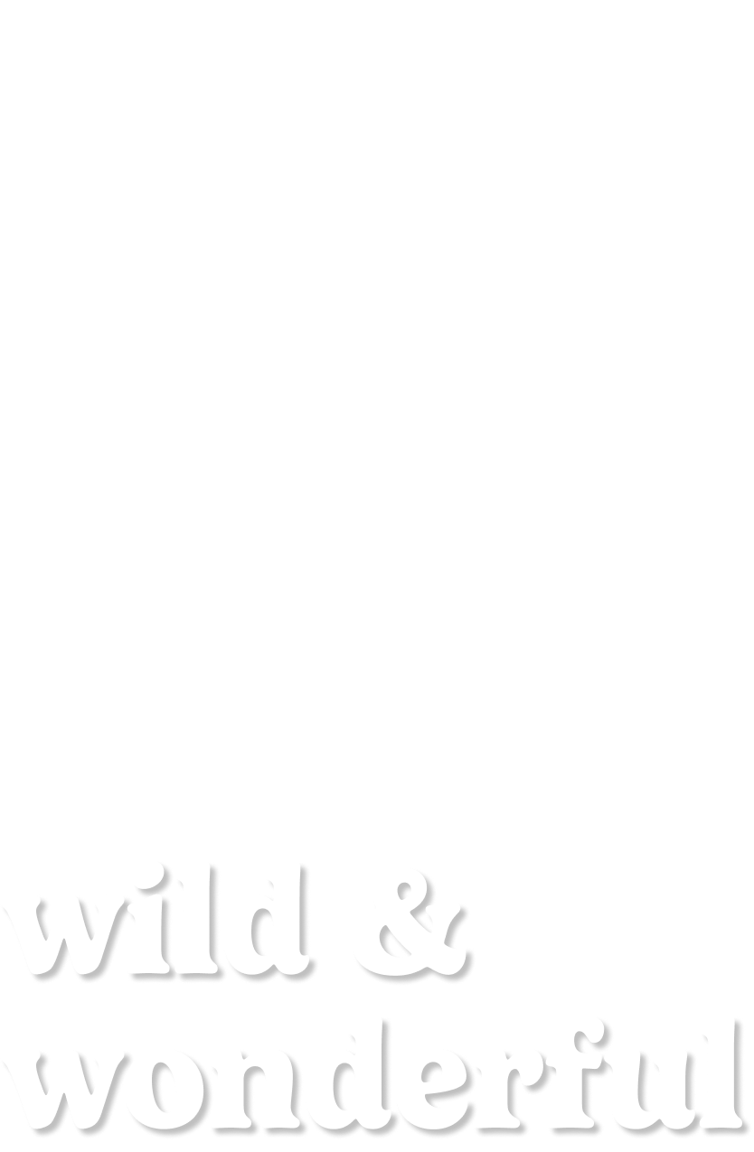 wild & wonderful