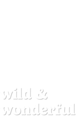 wild & wonderful