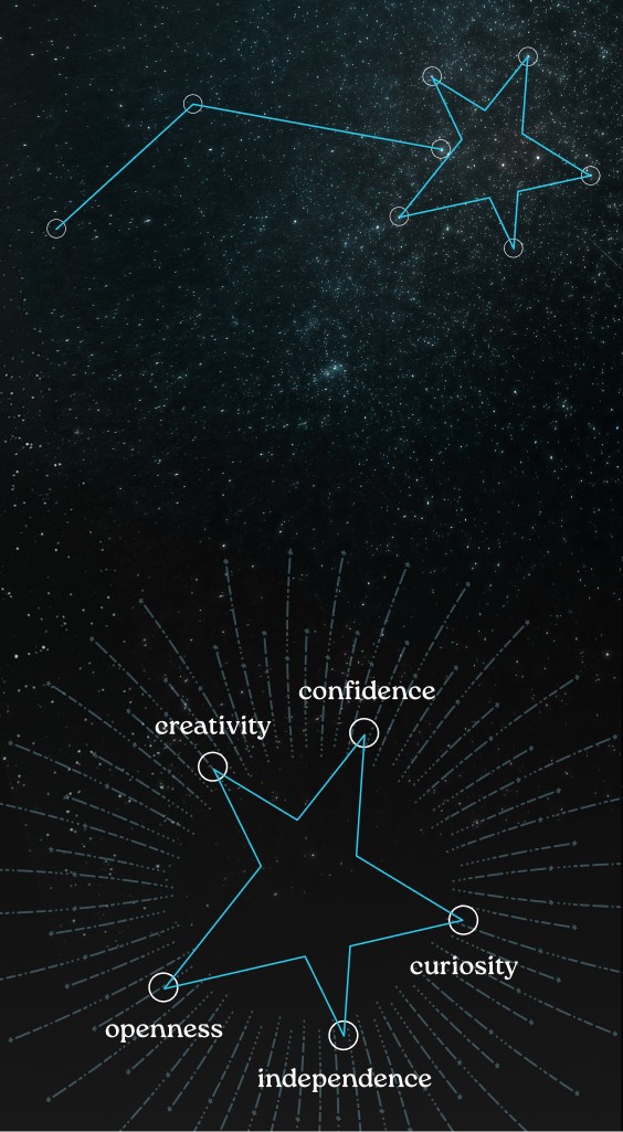 carter's constellation
