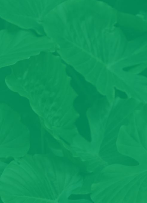 green leafy background