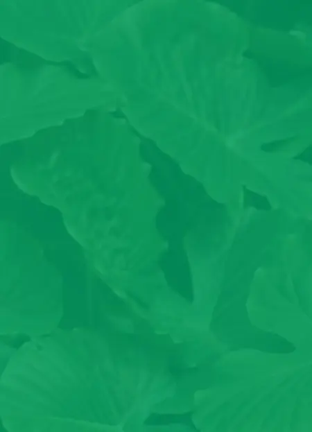 green leafy background