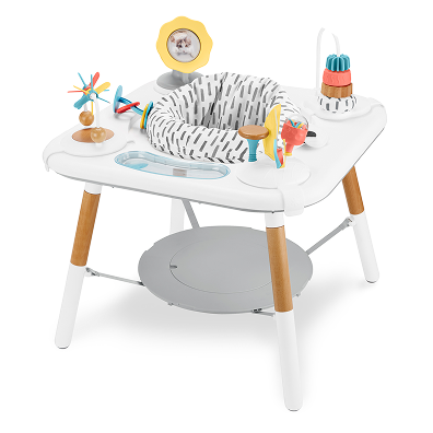 Activity Centers & Play Gyms