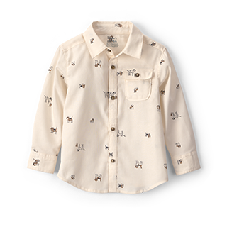 Button Down Shirts