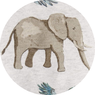 Toddler Boy Organic Cotton Pajamas