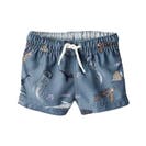 Baby Boy Swimwear Trunks