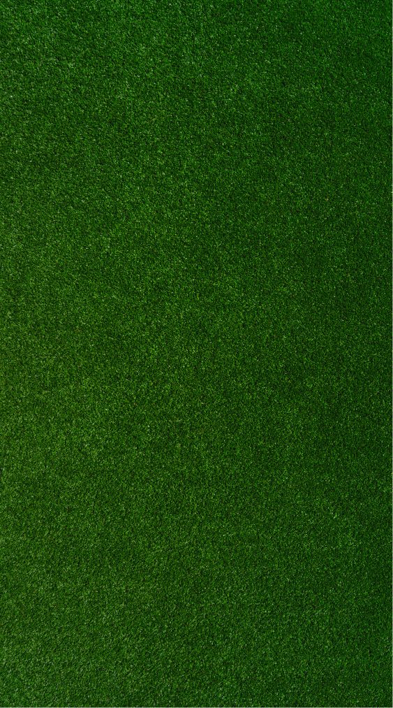 grass background