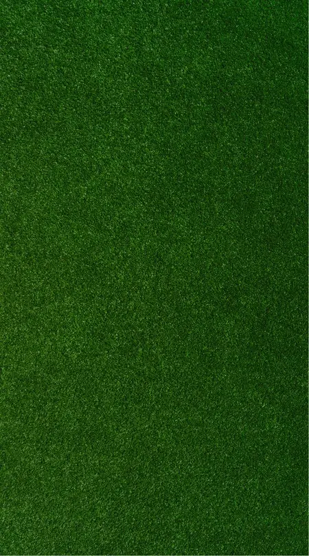 grass background