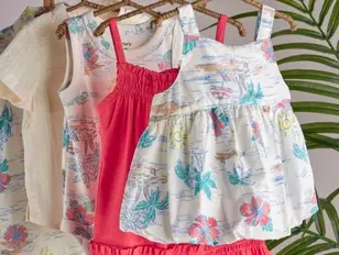 Hibiscus Hues