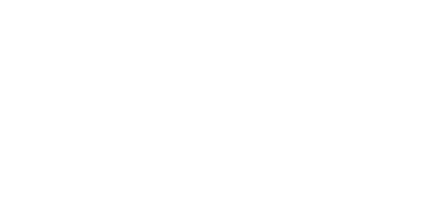 baby's first holiday