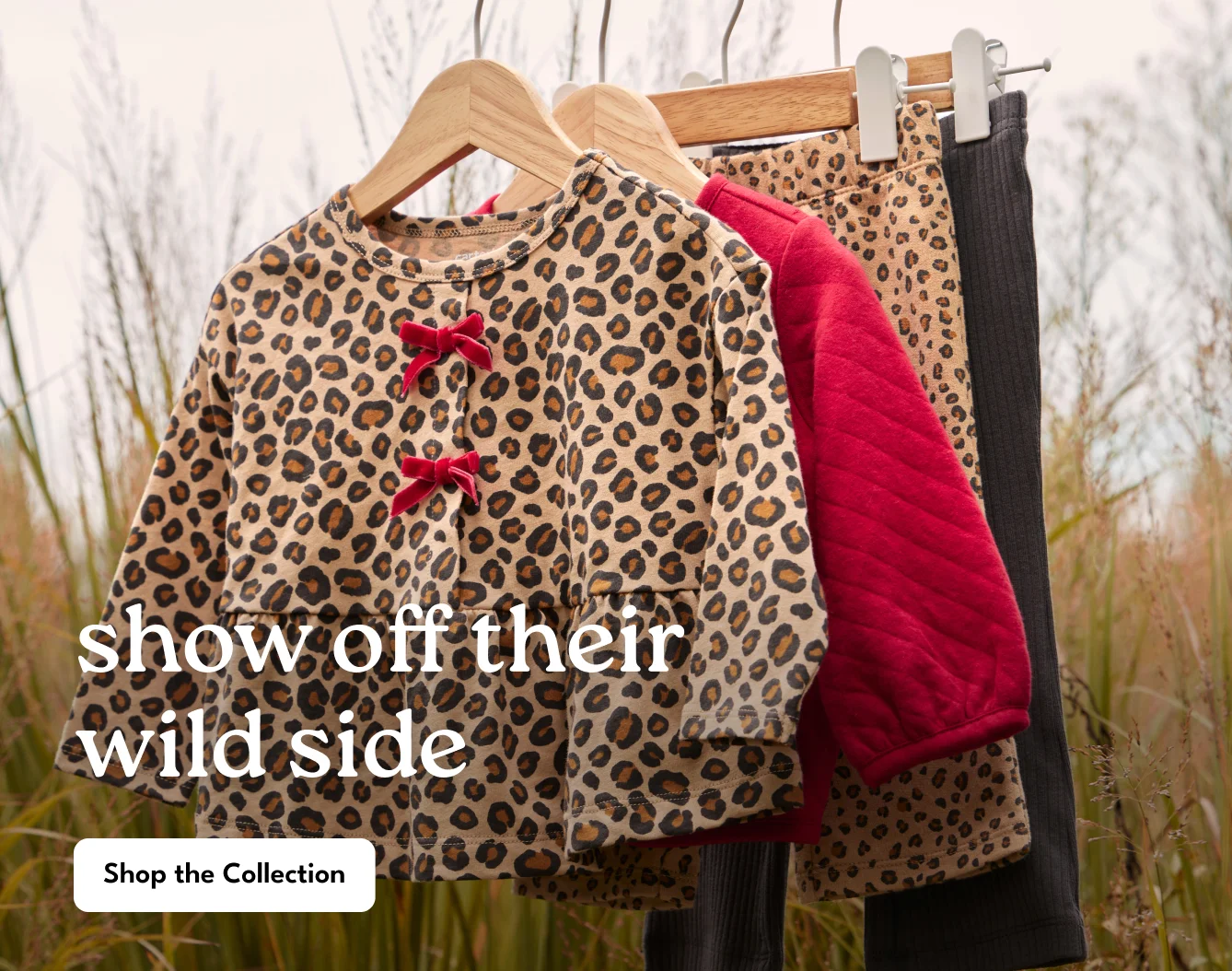 Clothes on a hanger, everyday wild
