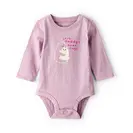 Baby Bodysuits