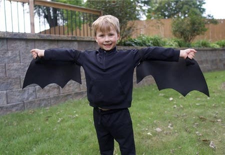 Bat Costume