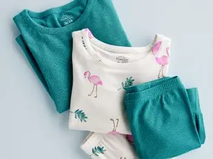 PurelySoft
